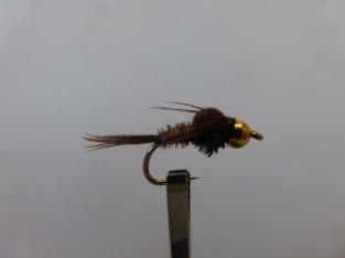 Size 16 Pheasant Tail  Bead Head